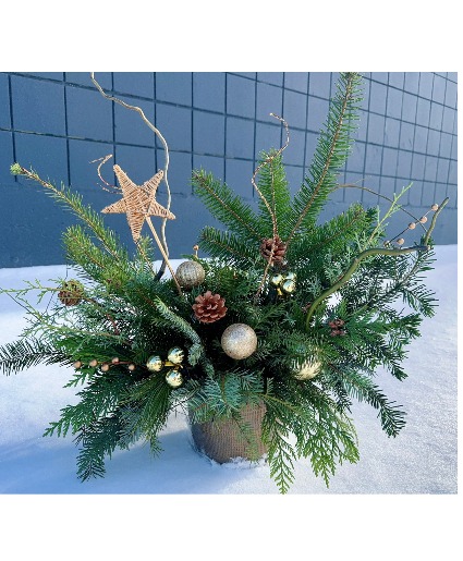 Golden Winter Glow Arrangement (Container may vary)