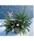 Golden Winter Glow Arrangement (Container may vary)