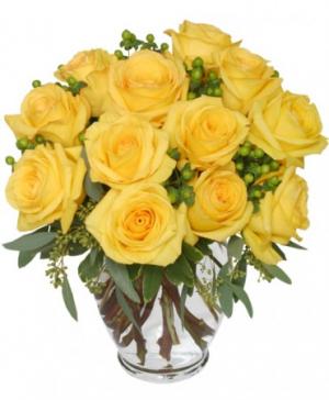 Good Morning Sunshine Roses Arrangement