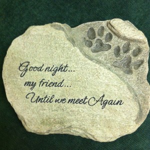 Good Night my Friend A Pet remembered