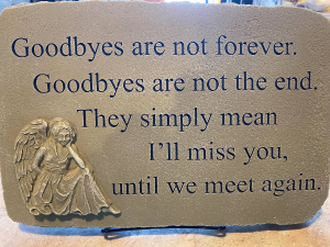Goodbyes are not Forever 