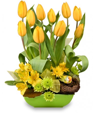 On The Bright Side Floral Arrangement in Ozone Park, NY | Heavenly Florist