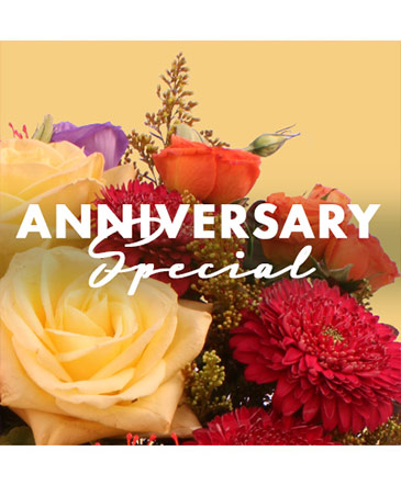 Gorgeous Anniversary Special Designer's Choice in Port Stanley, ON | Flowers By Rosita