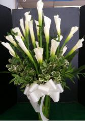 Gorgeous Calla Lilies 