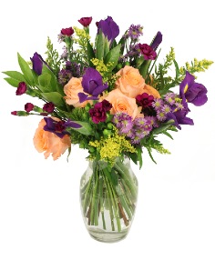 Category Image