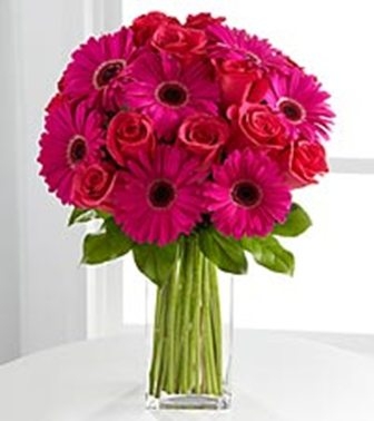 Gorgeous Gerber Daisies Flower Delivery In DC