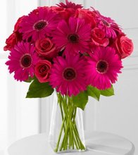 Gorgeous Gerbers Mixed in Amelia Island, FL | ISLAND FLOWER & GARDEN Gorgeous Gerbers Mixed in Amelia Island, FL | ISLAND FLOWER & GARDEN