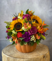 Gorgeous Gourd