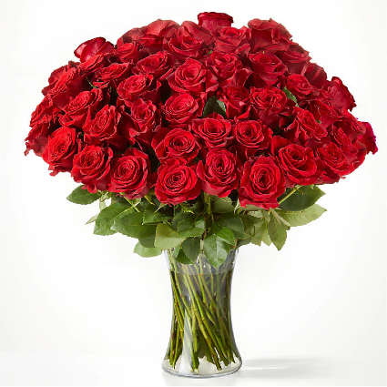 Gorgeous Long Stem Red Roses 