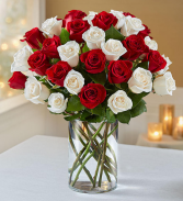 Gorgeous Red and White Roses 