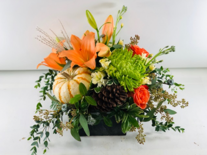 Gourd Arrangement Container Arrangement