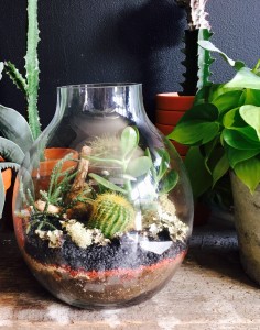 Gourd Terrarium in Toronto, ON | BOTANY FLORAL STUDIO Gourd Terrarium in Toronto, ON | BOTANY FLORAL STUDIO