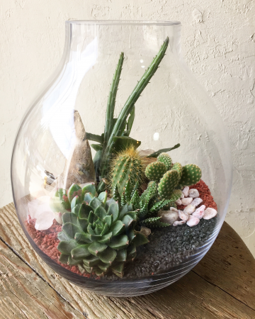 Gourd Terrarium