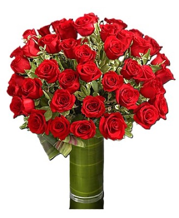 Gourges Red Roses Gift. SV24-122 Luxury Arrangement in San Juan, PR | ELIKONIA FLOWERS