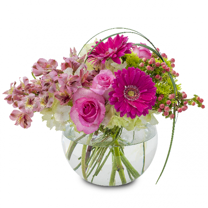 Grace Arrangement