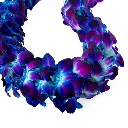 Blue Lei