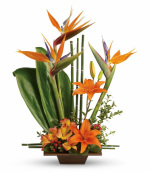  Graceful Bird of Paradise One-Sided Floral arrangement  （Tray may vary)