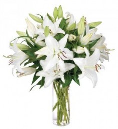 Category Image