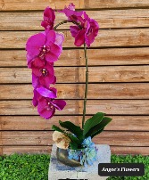 Graceful Orchid Oasis Permanent Botanical Arrangement
