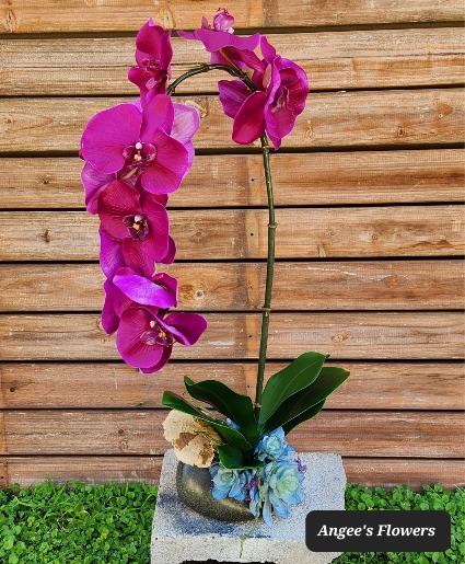 Graceful Orchid Oasis Permanent Botanical Arrangement
