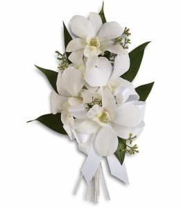 Graceful Orchids H1966A