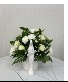 Graceful Tribute 