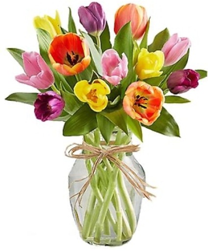 Graceful Tulips- Variety of Colors Available Vase Arrangement -Includes Beautiful Spring Ribbon