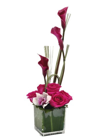Gracias por tu amor... Mothers day 2025 in San Juan, PR | ELIKONIA FLOWERS Gracias por tu amor... Mothers day 2025 in San Juan, PR | ELIKONIA FLOWERS