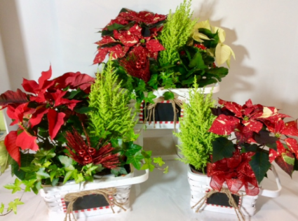 Gracious Gift