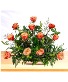 Purchase this funeral home arrangement