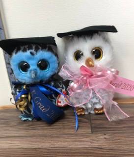 Grad 2020 owl  blue or grey with K Grad ribbon