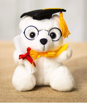 Graduation Bear 