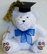Graduation Bear Graduation