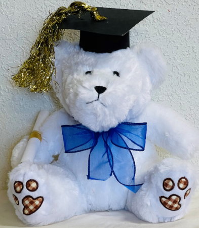 Graduation Bear Graduation