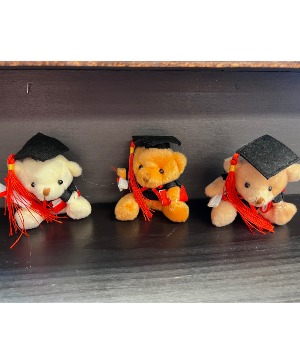 Graduation Bear Keychain 3 in 