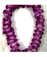 Double Bombay Purple Orchid Hawaiian Lei 