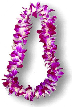 Orchid Lei colors vary
