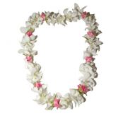 GRADUATION OR WEDDING LEI Single white orchid lei with rose buds. 