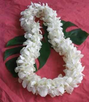 GRADUATION OR WEDDING LEI  Double white orchid LEI