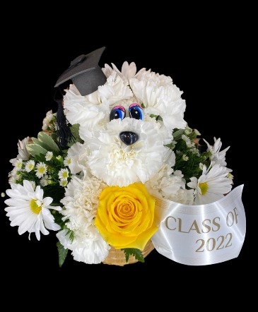 Graduation Puppy Graduation  in Lewiston, ME | BLAIS FLOWERS & GARDEN CENTER