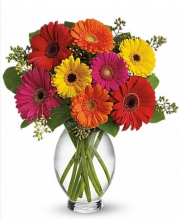 Grand Gerbra Vase
