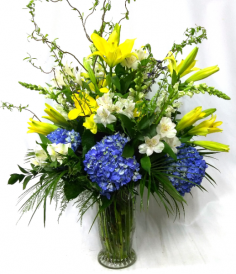 Category Image