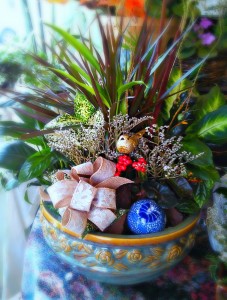 Grand Holiday Dish Garden in Fair Lawn, NJ | Dietch's Florist Grand Holiday Dish Garden in Fair Lawn, NJ | Dietch's Florist