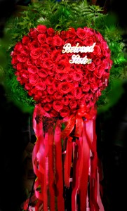 Grand Remembrance Bleeding Heart in Fair Lawn, NJ | Dietch's Florist Grand Remembrance Bleeding Heart in Fair Lawn, NJ | Dietch's Florist