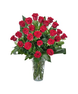 Grande Roses - 2 Dozen Roses Arrangement