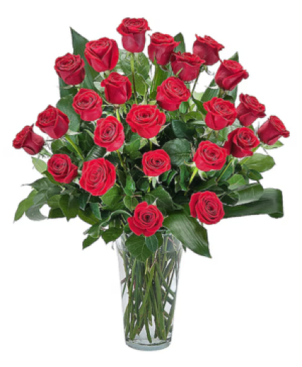 Grande Roses - 24 Roses Arrangement