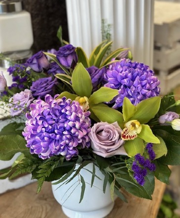 Grape Vines  in Etobicoke, ON | THE POTTY PLANTER FLORIST