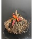 Grapevine Pumpkin  Keepsake