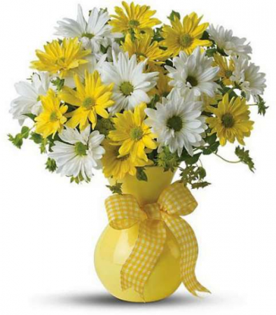 GRATITUDE OF DAISIES