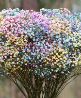 Great River Dance Wrapped Bouquet  
